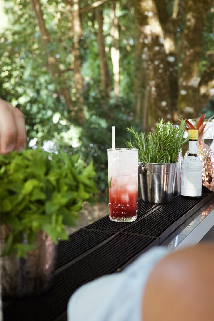 Cocktail long drink aux herbes fraîches servi au bar éphémère sous les arbres